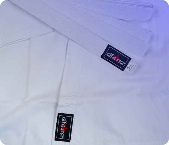 Professional Taekwondo Uniforms - Image 4