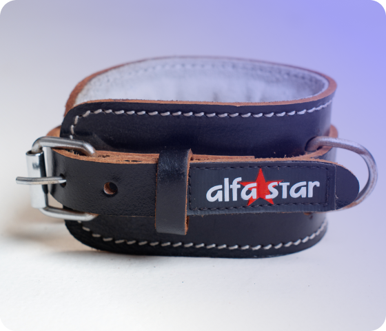 Professional Martial Arts Belts