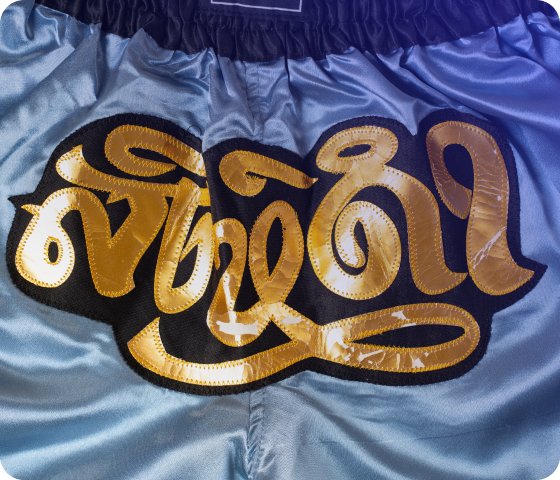 Pro-Series Boxing Shorts - Image 2