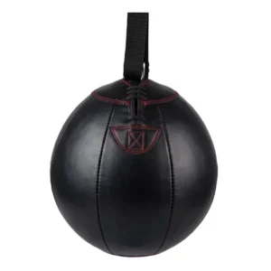 Pro-Series Punching Balls