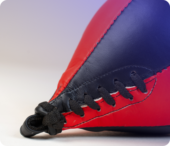 Pro-Series Punching Balls - Image 3