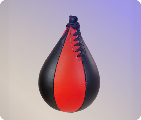 Pro-Series Punching Balls