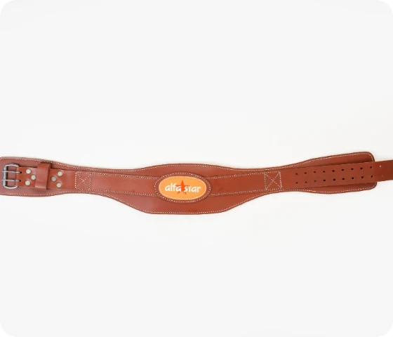 Professional Weight Lifting Back Support Belt - Image 2